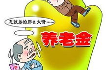 养老制度,构建和谐社会的坚实基石