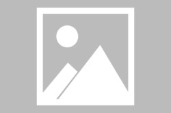 招商银行信用卡中心被罚80万背后：信用卡一年少560万张 不良率上升—招商银行