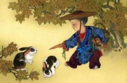 九死一生打一生肖