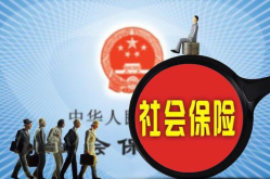 新社保法,全面升级社会保障体系，保障民生福祉