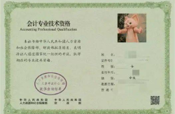 会计中级,会计中级职称考试要点与备考策略概述